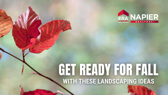 Landscaping Ideas